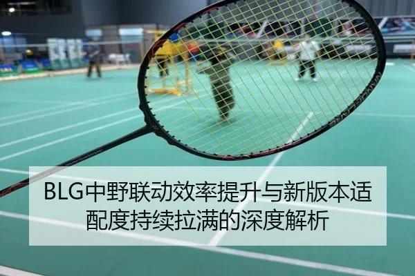 BLG中野联动效率提升与新版本适配度持续拉满的深度解析