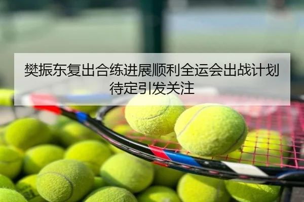 樊振东复出合练进展顺利全运会出战计划待定引发关注